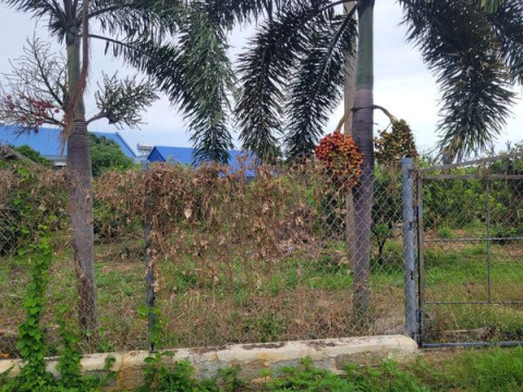 Đất nền xã Phước Hải - 2 lô liền kề 250m2 ngang 10 đường nhựa