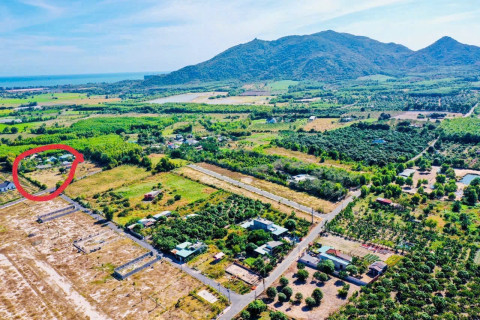 Đất nền xã Phước Hải - 2 lô liền kề 250m2 ngang 10 đường nhựa