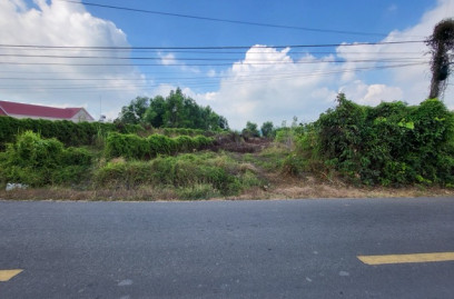 Đất nền xã Đất Đỏ - Diện tích 1100m2 ngang 10m mặt tiền đường Nguyễn Huệ sẵn 200m2 thổ cư