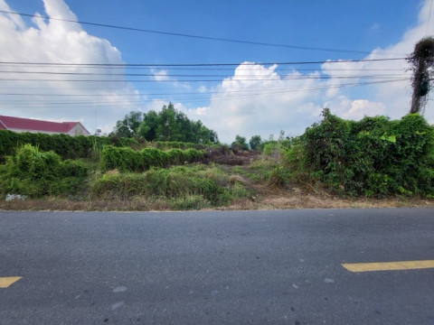 Đất nền xã Đất Đỏ - Diện tích 1100m2 ngang 10m mặt tiền đường Nguyễn Huệ sẵn 200m2 thổ cư