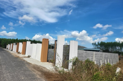 Đất nền xã Phước Hải - 8m mặt tiền đường nhựa cách đường 44B chỉ 100m đã xây tường rào