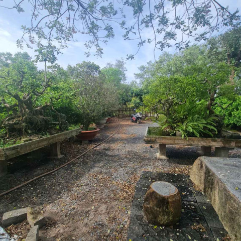 Bán nhà vườn ven biển Lộc An - Phước Hải. Diện tích 1.800m2, có tc, 38m mặt tiền cách biển 500m