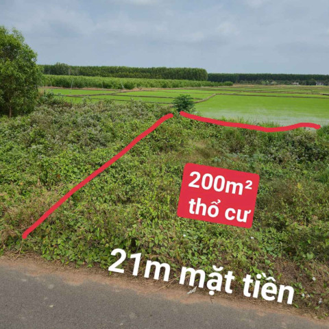 Bán đất đối diện khu Bòn Bon resort Long Tân. Dt 500m2 có 21m mặt tiền