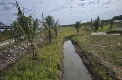 Bán đất Đất Đỏ 2596m2 cạnh kcn Đất Đỏ làm nhà vườn đẹp